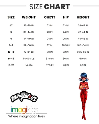 Miraculous Ladybug Cat Noir Rena Rouge Girls 2 Pack T-Shirts Little Kid To Big Kid - Image 6