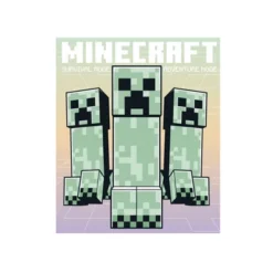 Minecraft Sonic Youth Girls Basic Tee & Biker Short Set